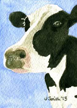 "Cow #2" by Judi Smith, Fitchburg WI - Watercolor
